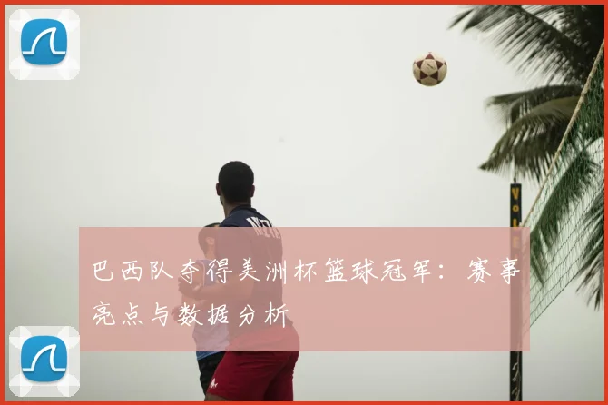 巴西队夺得美洲杯篮球冠军：赛事亮点与数据分析